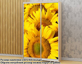 Наклейка на шафу-купе 220 х 74 см на 2 двері Соняшники (БП_а_fl13785), фото 2