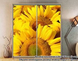Наклейка на шафу-купе 220 х 74 см на 2 двері Соняшники (БП_а_fl13785), фото 5
