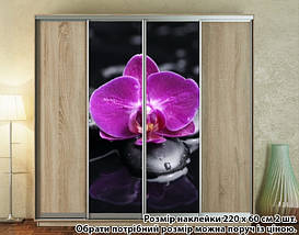 Наклейка на шафу-купе 220 х 102 см на 2 двері орхідея (БП_а_fl12080), фото 3