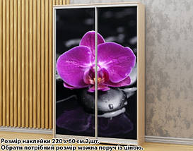 Наклейка на шафу-купе 220 х 102 см на 2 двері орхідея (БП_а_fl12080), фото 4