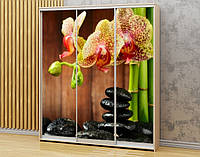 Наклейка на шкаф-купе 220 х 60 см на 3 двери орхидеи (БП_в_fl101003)