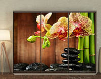 Наклейка на шкаф-купе 220 х 102 см на 3 двери орхидеи (БП_в_fl101003)