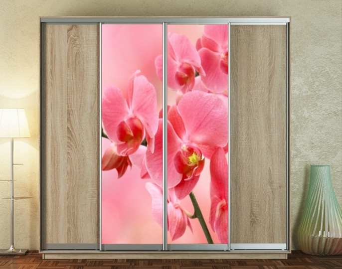 Наклейка на шафу-купе 220 х 60 см на 2 двері  Орхідеї (БП_а_fl101008)