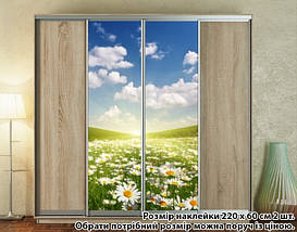 Наклейка на шафу-купе 220 х 74 см на 2 двері Ромашки (БП_а_fl101010), фото 5