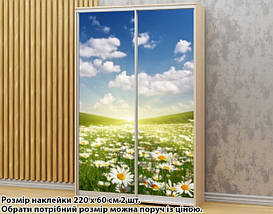 Наклейка на шафу-купе 220 х 74 см на 2 двері Ромашки (БП_а_fl101010), фото 6
