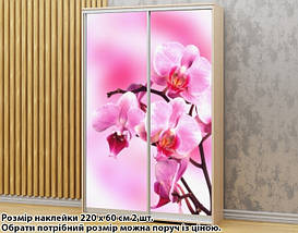 Наклейка на шафу-купе 220 х 74 см на 2 двері Орхідеї (БП_а_fl12197), фото 3