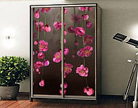 Наклейка на шкаф-купе 220 х 74 см на 2 двери цветы (БП_а_fl12419)