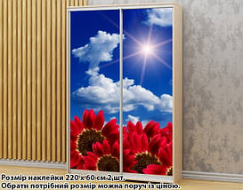Наклейка на шафу-купе 220 х 74 см на 2 двері квіти (БП_а_fl101130), фото 2