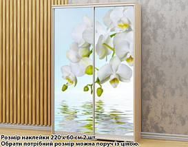 Наклейка на шафу-купе 220 х 74 см на 2 двері орхідея (БП_а_fl12460), фото 2