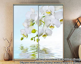 Наклейка на шафу-купе 220 х 74 см на 2 двері орхідея (БП_а_fl12460), фото 5