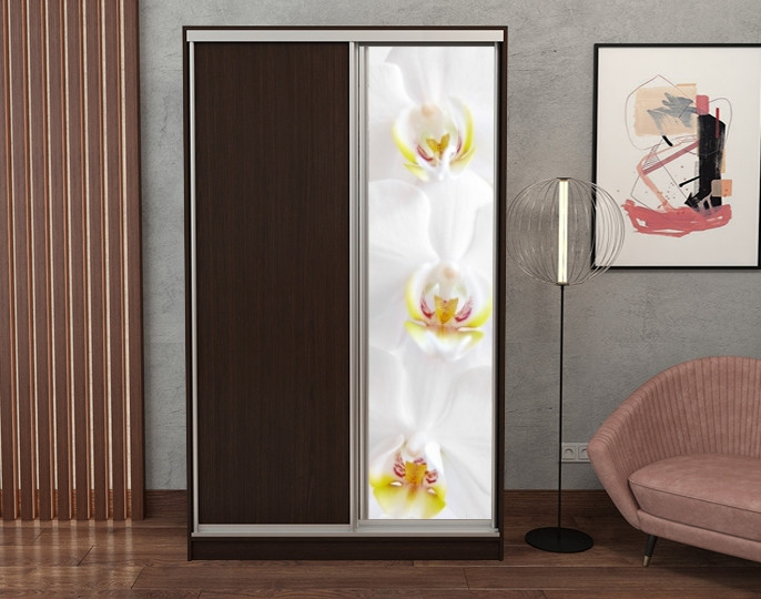 Наклейка на шафу-купе 220 х 60 см на 1 двері  квіти (БП_с_fl101290)