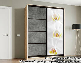Наклейка на шафу-купе 220 х 60 см на 1 двері  квіти (БП_с_fl101290), фото 2