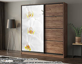 Наклейка на шафу-купе 220 х 60 см на 1 двері  квіти (БП_с_fl101290), фото 3