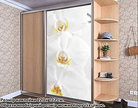 Наклейка на шафу-купе 220 х 60 см на 1 двері  квіти (БП_с_fl101290), фото 4