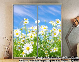 Наклейка на шафу-купе 220 х 102 см на 2 двері Ромашки (БП_а_fl12471), фото 2