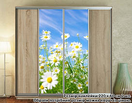 Наклейка на шафу-купе 220 х 102 см на 2 двері Ромашки (БП_а_fl12471), фото 3
