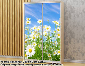 Наклейка на шафу-купе 220 х 102 см на 2 двері Ромашки (БП_а_fl12471), фото 4