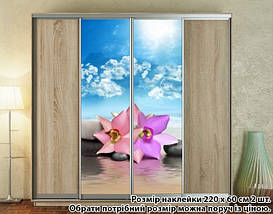 Наклейка на шафу-купе 220 х 102 см на 2 двері квіти (БП_а_fl101370), фото 5