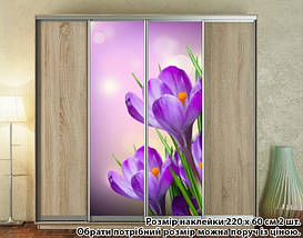 Наклейка на шафу-купе 220 х 60 см на 2 двері Крокуси (БП_а_fl12497), фото 3
