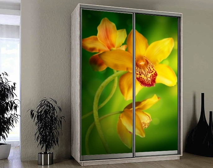 Наклейка на шафу-купе 220 х 74 см на 2 двері  орхідея (БП_а_fl12503)