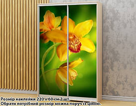 Наклейка на шафу-купе 220 х 74 см на 2 двері орхідея (БП_а_fl12503), фото 2