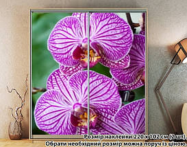 Наклейка на шафу-купе 220 х 60 см на 2 двері  Орхідеї (БП_а_fl101445), фото 4
