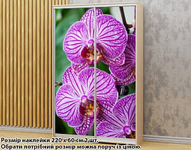 Наклейка на шафу-купе 220 х 60 см на 2 двері  Орхідеї (БП_а_fl101445), фото 5