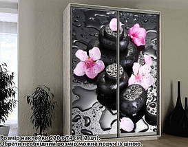 Наклейка на шафу-купе 220 х 102 см на 2 двері квіти (БП_а_fl101457), фото 2