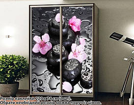 Наклейка на шафу-купе 220 х 102 см на 2 двері квіти (БП_а_fl101457), фото 3