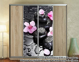 Наклейка на шафу-купе 220 х 102 см на 2 двері квіти (БП_а_fl101457), фото 5