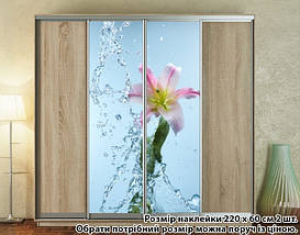 Наклейка на шафу-купе 220 х 102 см на 2 двері квіти (БП_а_fl101483), фото 6