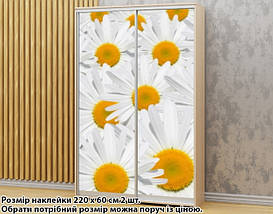 Наклейка на шафу-купе 220 х 74 см на 2 двері Ромашки (БП_а_fl12588), фото 2