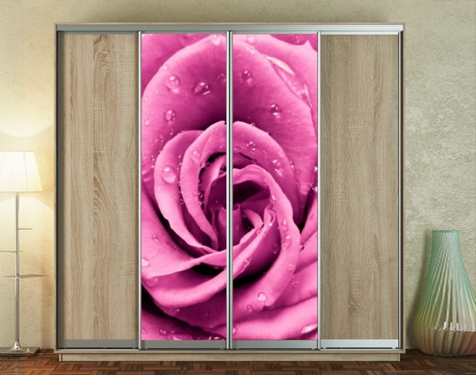 Наклейка на шафу-купе 220 х 60 см на 2 двері квіти (БП_а_fl101526)