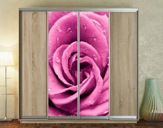 Наклейка на шафу-купе 220 х 60 см на 2 двері квіти (БП_а_fl101526), фото 1