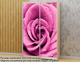 Наклейка на шафу-купе 220 х 60 см на 2 двері квіти (БП_а_fl101526), фото 2