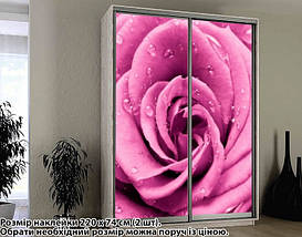 Наклейка на шафу-купе 220 х 60 см на 2 двері квіти (БП_а_fl101526), фото 3