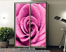 Наклейка на шафу-купе 220 х 60 см на 2 двері квіти (БП_а_fl101526), фото 4