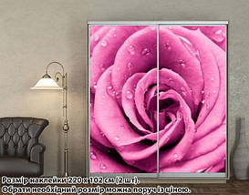 Наклейка на шафу-купе 220 х 60 см на 2 двері квіти (БП_а_fl101526), фото 5