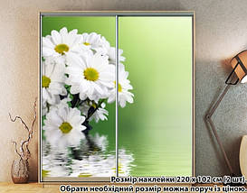 Наклейка на шафу-купе 220 х 102 см на 2 двері Хризантеми (БП_а_fl12596), фото 3