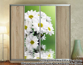 Наклейка на шафу-купе 220 х 102 см на 2 двері Хризантеми (БП_а_fl12596), фото 4