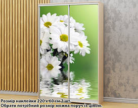 Наклейка на шафу-купе 220 х 102 см на 2 двері Хризантеми (БП_а_fl12596), фото 5