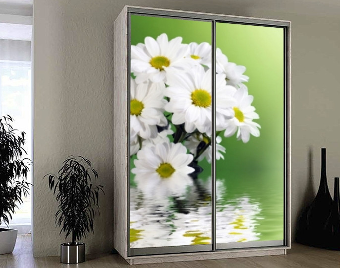 Наклейка на Шкаф-купе 220 Х 74 См на 2 Двери Хризантемы (БП_а_fl12596 ...