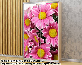 Наклейка на шафу-купе 220 х 74 см на 2 двері квіти (БП_а_fl101591), фото 3