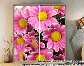 Наклейка на шафу-купе 220 х 74 см на 2 двері квіти (БП_а_fl101591), фото 6