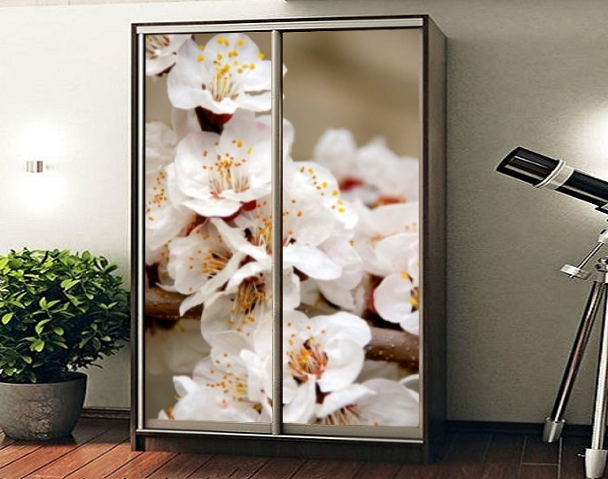 Наклейка на шафу-купе 220 х 74 см на 2 двері квіти (БП_а_fl101617)