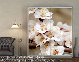 Наклейка на шафу-купе 220 х 74 см на 2 двері квіти (БП_а_fl101617), фото 2