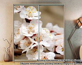 Наклейка на шафу-купе 220 х 74 см на 2 двері квіти (БП_а_fl101617), фото 3