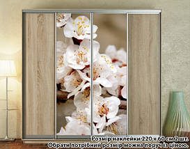 Наклейка на шафу-купе 220 х 74 см на 2 двері квіти (БП_а_fl101617), фото 4