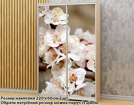 Наклейка на шафу-купе 220 х 74 см на 2 двері квіти (БП_а_fl101617), фото 5