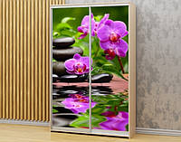 Наклейка на шкаф-купе 220 х 60 см на 2 двери орхидеи (БП_а_fl12671)